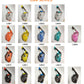 Anti Fog Waterproof Latest Under Water PC Lens Full Face Diving Mask